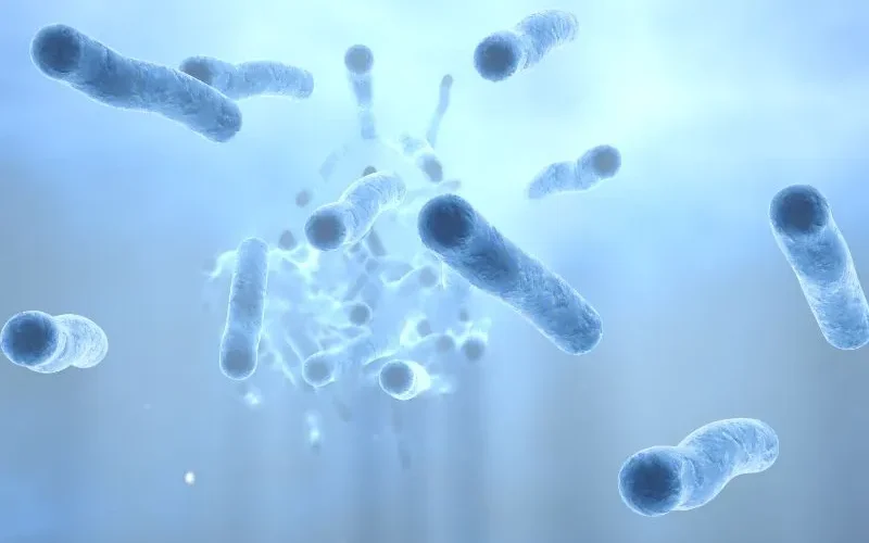 legionella-risk-survey legionella-risk-survey